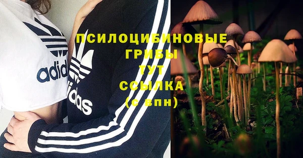 прущая мука Ладушкин