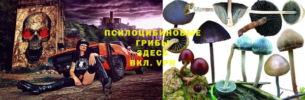 мдма Лагань