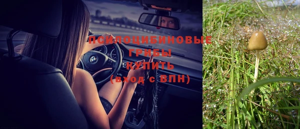 прущая мука Ладушкин
