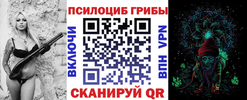 Псилоцибиновые грибы Psilocybe  Купить где  Новотитаровская 